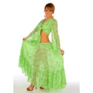  Belly Dance Gypsy Flamenco Costume Set Circular Skirt Top 