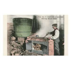  Boiling Maple Sap for Sugar Premium Poster Print, 16x24 