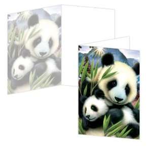  ECOeverywhere Panda and Cub Boxed Card Set, 12 Cards and 