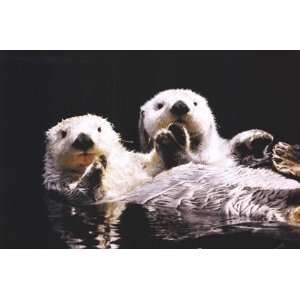  Sea Otters by Unknown 36x24