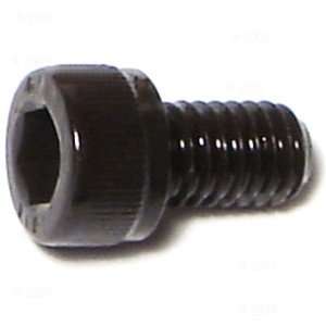  6mm 1.00 x 10mm Socket Cap Screw (10 pieces)