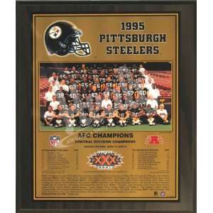  STEELERS HEALY PLAQUE 1995 AFC CHAMPS (11x13)