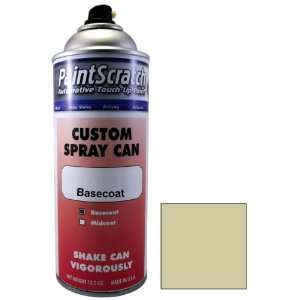  12.5 Oz. Spray Can of Bronze Gray Pearl Touch Up Paint for 