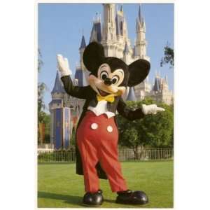  Walt Disney World Magic Kingdom Mickey Mouse 4x6 Postcard 