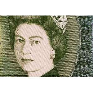  Qeii on a £1 Bill   Peel and Stick Wall Decal by 