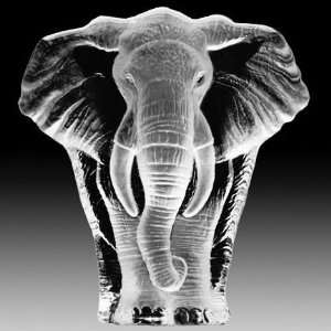  Elephant Crystal