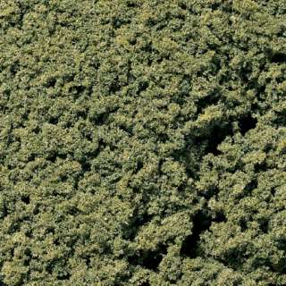   Scenics FC58 Medium Green Foliage Clusters 724771000587  