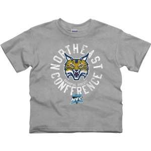  Quinnipiac Bobcats Youth Conference Stamp T Shirt   Ash 