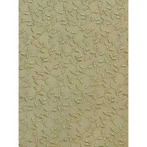  Pindler & Pindler Anissa   Taupe Fabric