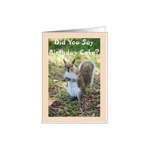 Birthday, Cute Squirrel Card Toys & Games