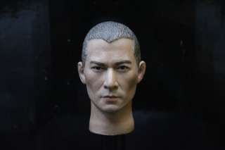 HP 0018 1/6 HeadPlay Andy Lau Head Sculpt w/h Neck Joint (s)  