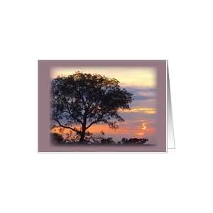  Xhosa, South Africa, Sky and Tree Card Health & Personal 