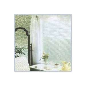  MINI BLIND 31WX64H ALABASTER (Pack of 6) Sports 