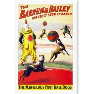  Barnum and Bailey, Marvelous Football Dogs AZV01384 