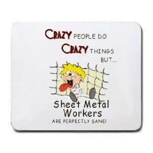  CRAZY PEOPLE DO CRAZY THINGS BUT Sheet Metal Workers ARE 