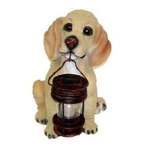 Browned Eyed Puppy Dog With Lantern Solar Light Patio 