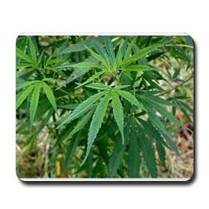  Green Leaf Marijuana Mousepad by  Office 