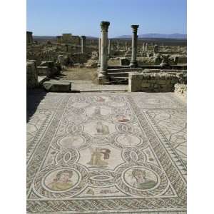 Mosaics from the 3rd Century, Volubilis, Unesco World Heritage Site 