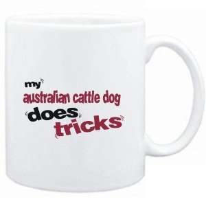   White  MY Australian Cattle Dog DOES TRICKS  Dogs