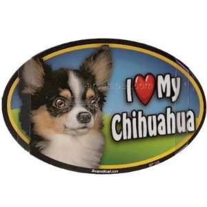    Dog Breed Image Magnet Oval Chihuahua Long Haired
