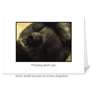 Wondering about you Missing You Friendship Greeting Card 5 x 7   Free 