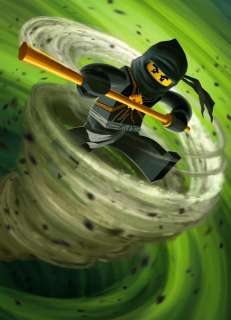 13 LEGO NinjaGo Cole   Ninja der Erde 19 Poster  