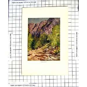   C1850 C1930 Colour Print View Cliffs Aberglaslyn Trees