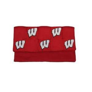  University of Wisconsin Badgers Photo Envelope / Checkbook 