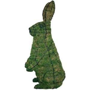  Standing Rabbit Mossed Topiary Frame