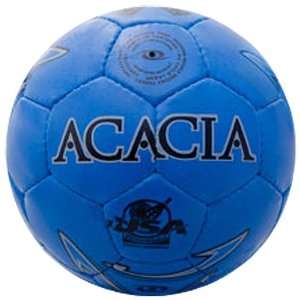 ACACIA Fire Indoor/Outdoor Broomballs BLUE OFFICIAL SIZE  
