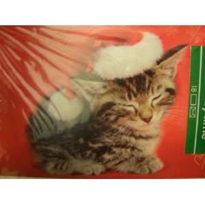   ~ Set of 18 Glitter Holiday Cards & Envelopes (Kitten in Santa Hat
