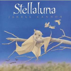  Stella Luna   Hard Cover Patio, Lawn & Garden
