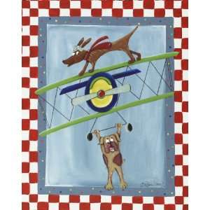  Wing Walker Canvas by Doodlefish Arts, Crafts & Sewing