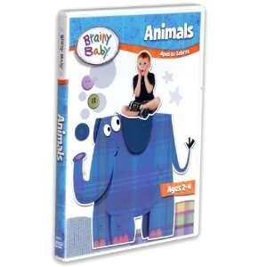  Animals Multimedia Educational DVD 