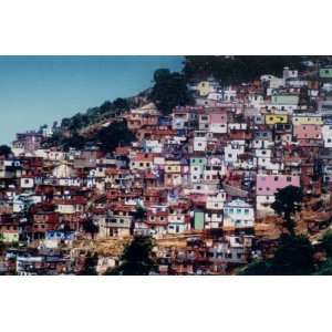  Favela Home & Garden