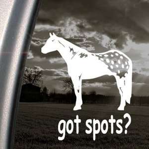  Got Spots? Decal Appaloosa Horse Truck Window Sticker 