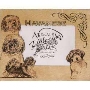  Havanese Laser Engraved Dog Photo Matte 8 X 10 Kitchen 