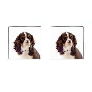  king charles spaniel pup 8 Square Cufflinks F0711 