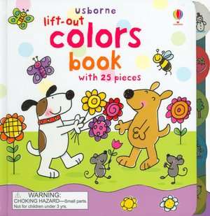 lift out colors book with 25 felicity brooks board book