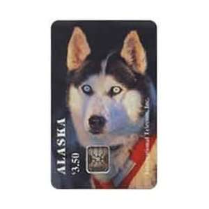 Collectible Phone Card $3.50 Alaskan Husky Sled Dog (Photo by John 