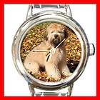 Wheaten Terrier Dog Pet Puppy Italian Round Charm Wrist Watch New 