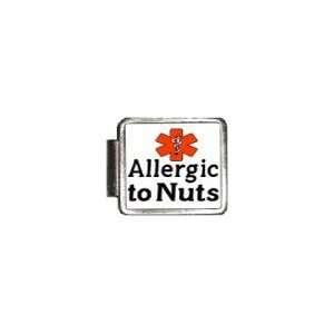  Allergic To Nuts Medical Alert Italian Charm Bracelet Link 