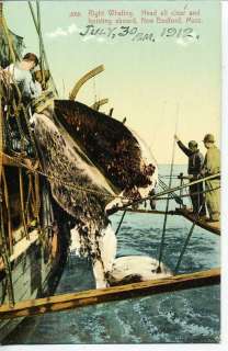 NEW BEDFORD MASS WHALING WHALE FISHING VINTAGE POSTCARD  