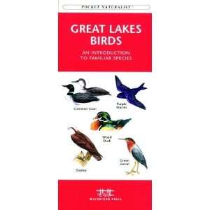  Waterford Press WFP1583550922 Great Lakes Birds Book Pet 