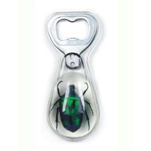 Real Bug Bottle Opener Green Rose Chafer Beetle Clear