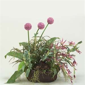   Silks 08923 Allium Arrangement Permanent Flower