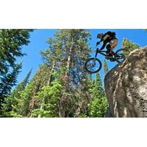  Mountain Biker Riding Teton Pass, WY Wall Mural