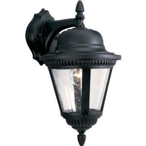 Progress Lighting P5863 31 1 Light Cast Wall Lantern with Clear Seeded 
