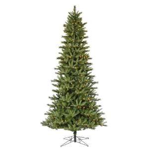 5.5 X 35 Slim Waconia Pine LED 300 WmWht Lights