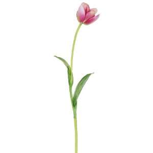  26 Tulip Spray Two Tone Pink (Pack of 12)